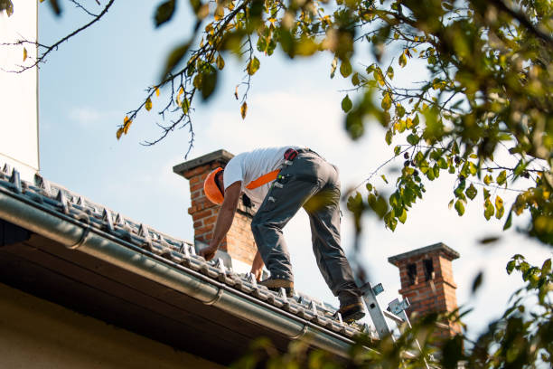 Best Roof Gutter Cleaning  in Sanford, NC