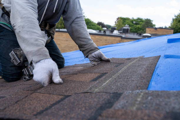 Best Local Roofing Companies  in Sanford, NC