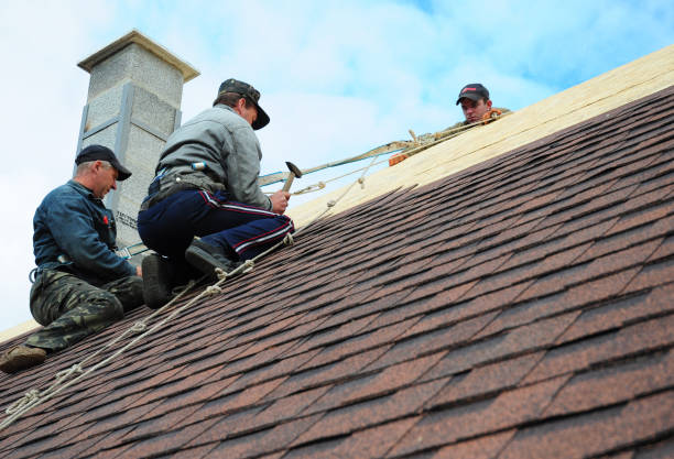 Best Storm Damage Roof Repair  in Sanford, NC